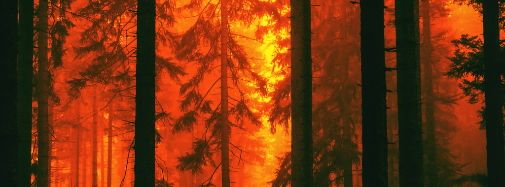 pianalytix machine learning