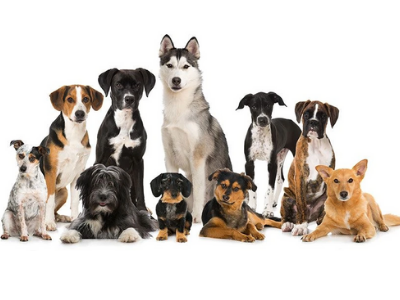 Pianalytix Deep learning project